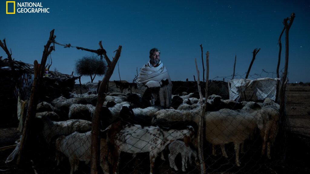 See the photos that made National Geographic’s ‘Pictures of the Year’