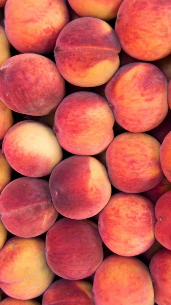 10 health benefits of eating peaches 10 health benefits of eating peaches