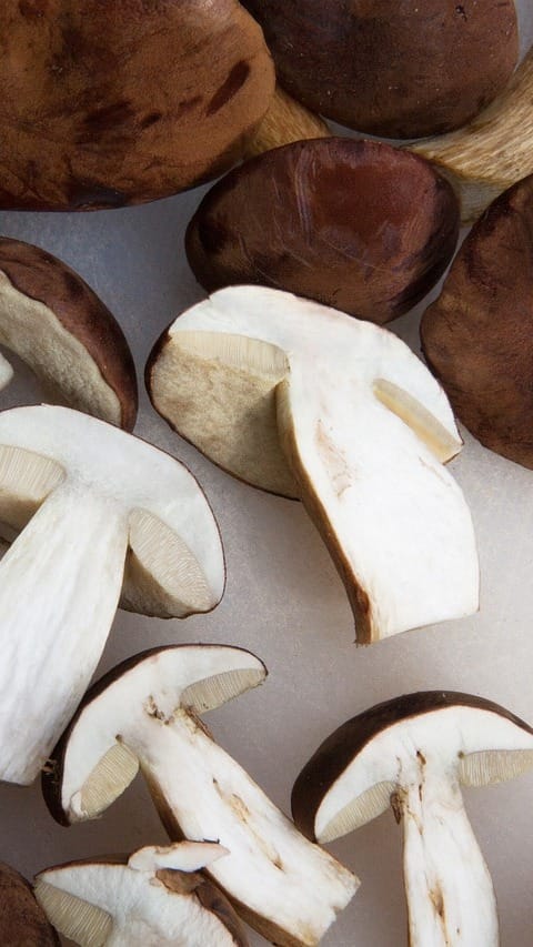 5 mushroom dishes for weight loss