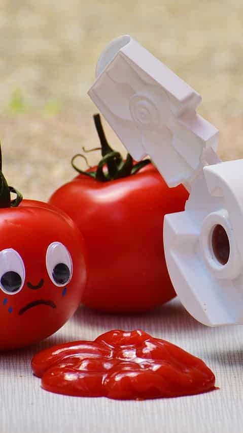 Difference between ketchup and sauce