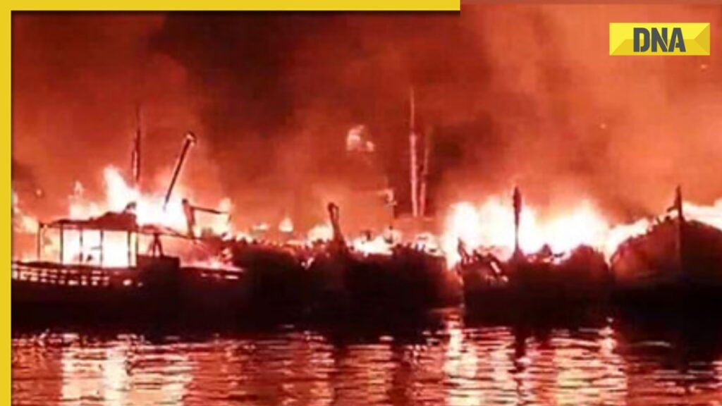 Andhra Pradesh: Nearly 40 boats gutted in fire at Visakhapatnam fishing harbour