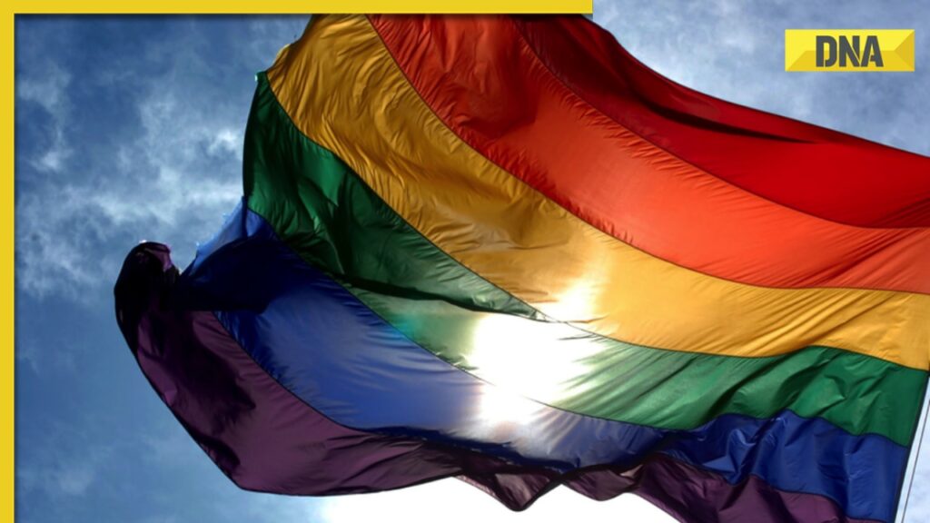 Same-sex marriage: SC to consider review plea against gay marriage verdict on November 28