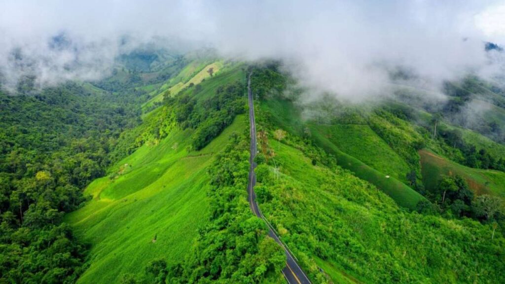 Western Ghats: A Journey into India’s Biodiversity Hotspot