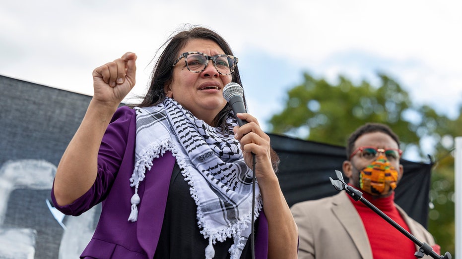 Michigan Senate candidate says he was offered million to challenge Rep. Tlaib instead Michigan Senate candidate says he was offered million to challenge Rep. Tlaib instead