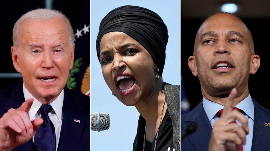 The Divide: How a protest over Israel exposed a serious rift in the Democratic Party The Divide: How a protest over Israel exposed a serious rift in the Democratic Party