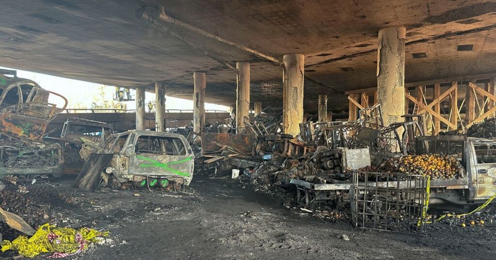 Los Angeles freeway damaged by arson reopens ahead of schedule