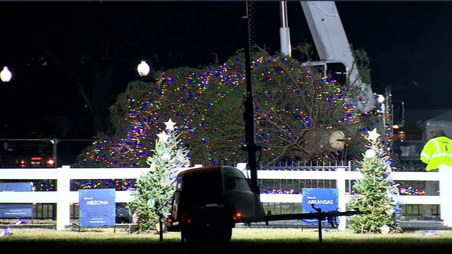National Christmas Tree topples to the ground at White House: ‘Perfectly summing up Joe Biden’s presidency’ National Christmas Tree topples to the ground at White House: ‘Perfectly summing up Joe Biden’s presidency’
