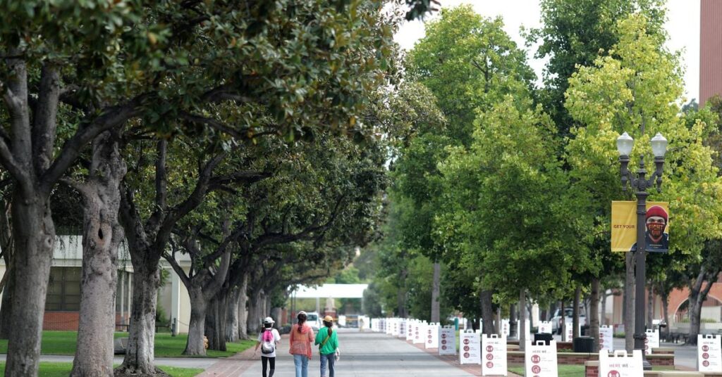 US professors suspended, probed over Gaza war comments US professors suspended, probed over Gaza war comments