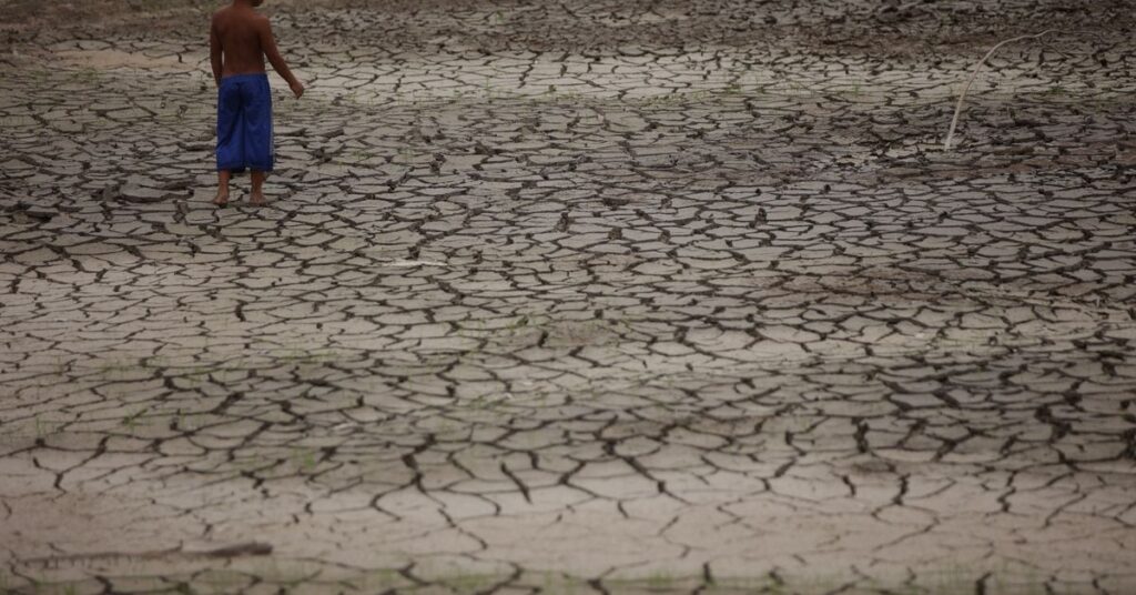 Amazon River tributary falls to lowest in over a century amid Brazil drought Amazon River tributary falls to lowest in over a century amid Brazil drought