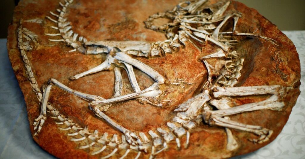 Mongolia urges Russia, other nations to return cultural artefacts Mongolia urges Russia, other nations to return cultural artefacts
