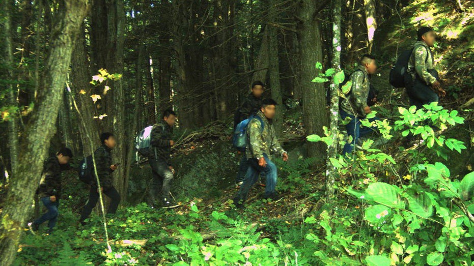 Northern border sector sees 550% increase in migrant apprehensions last fiscal year Northern border sector sees 550% increase in migrant apprehensions last fiscal year
