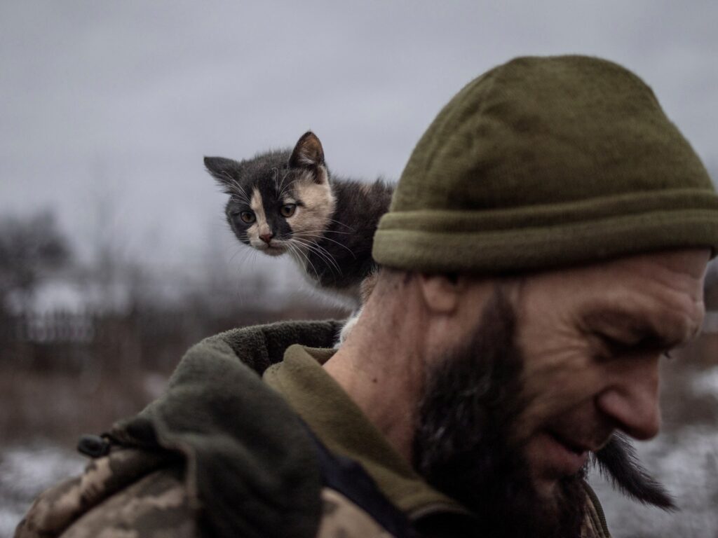 Russia-Ukraine war: List of key events, day 671 Russia-Ukraine war: List of key events, day 671