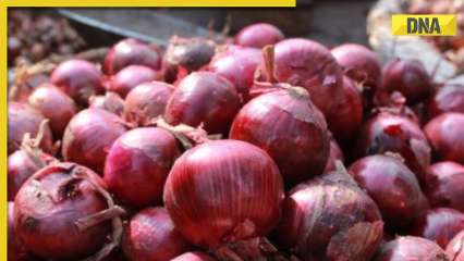 Centre bans onion exports till March 2024 Centre bans onion exports till March 2024