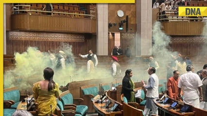 Congress MP states why accusers jumped from visitor’s gallery in Parliament, ‘they did it to…’ Congress MP states why accusers jumped from visitor’s gallery in Parliament, ‘they did it to…’