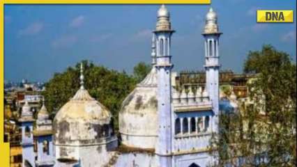 Gyanvapi Mosque Dispute: Big setback to Muslim side, Allahabad HC dismisses all five pleas challenging survey Gyanvapi Mosque Dispute: Big setback to Muslim side, Allahabad HC dismisses all five pleas challenging survey