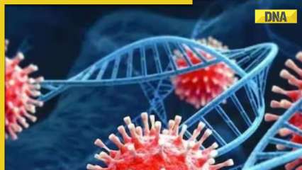 20 cases of Covid sub-variant JN.1 found in three states, says INSACOG 20 cases of Covid sub-variant JN.1 found in three states, says INSACOG