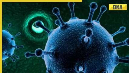 COVID-19 variant JN.1: Delhi-NCR on toes after first case found in Ghaziabad, know how other states are faring COVID-19 variant JN.1: Delhi-NCR on toes after first case found in Ghaziabad, know how other states are faring