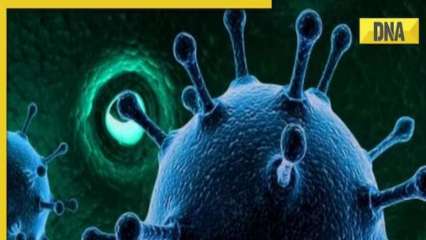 No need to panic, state fully prepared: Maharashtra Health minister on new Covid sub-strain No need to panic, state fully prepared: Maharashtra Health minister on new Covid sub-strain