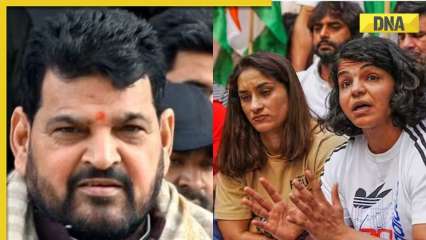 ‘These tears are…’: Congress on Sakshi Malik announcing retirement after Brij Bhushan associate wins WFI polls