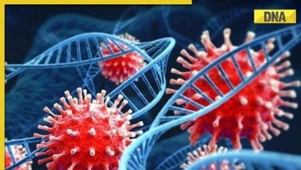 India logs 328 new COVID-19 cases, 2,606 active cases in Kerala; states on high alert