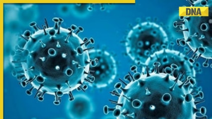 COVID-19 news: India logs 656 new covid cases, 1 death reported