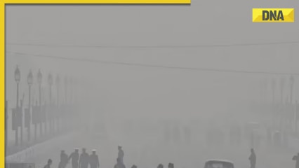 IMD update: Delhi-NCR in grip of cold wave, dense fog, AQI remains ‘very poor’ in Noida, Ghaziabad IMD update: Delhi-NCR in grip of cold wave, dense fog, AQI remains ‘very poor’ in Noida, Ghaziabad