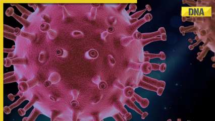 Delhi reports first case of COVID-19 sub-variant JN.1, active tally reaches over 35