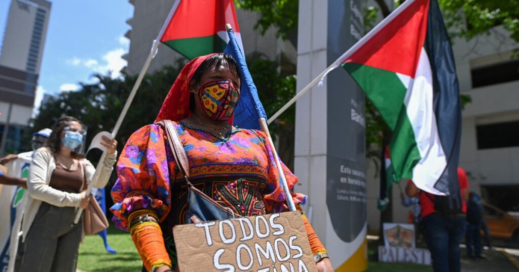 Palestine’s and Turtle Island’s liberation are entwined