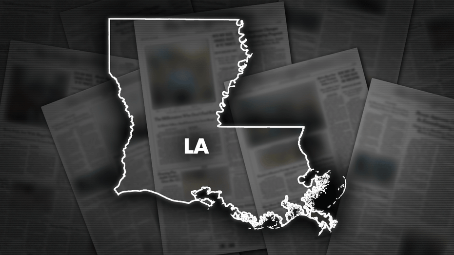 Appeals court refuses Louisiana’s plea to reconsider House map ruling