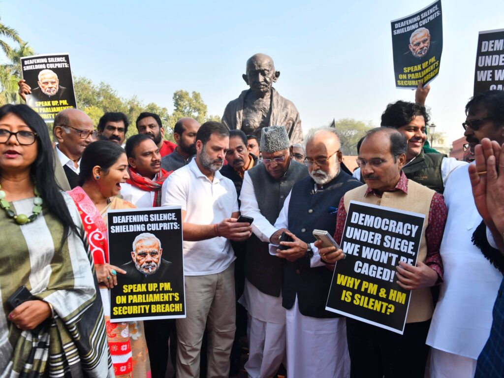 Why 141 India opposition MPs suspended from parliament?