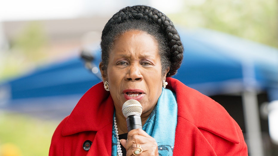 Houston mayoral candidate Sheila Jackson Lee tells supporters to vote on wrong date