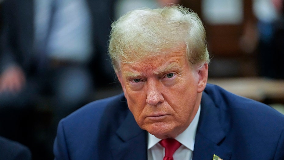 Trump cannot assert presidential immunity in E Jean Carroll defamation lawsuit, appeals court rules