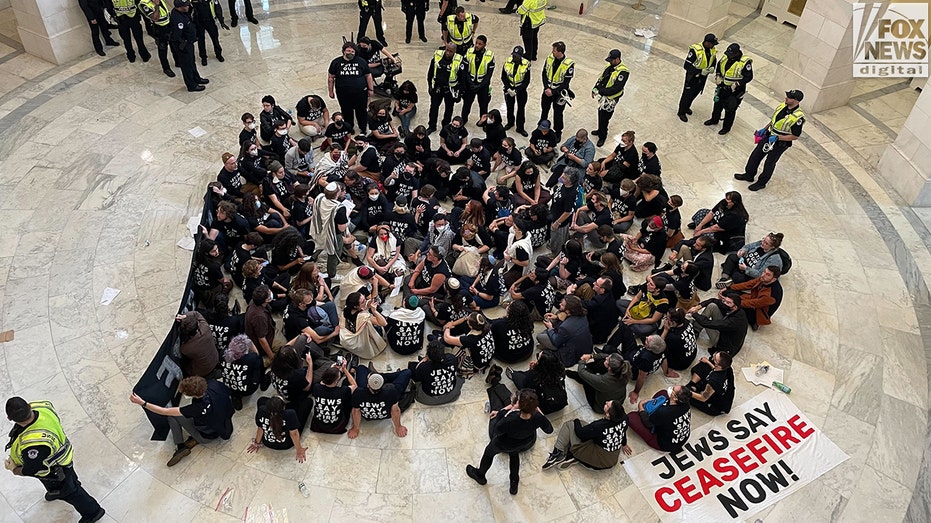 Soros’ foundation funds nonprofit that finances pro-Palestine protests: Watchdog group