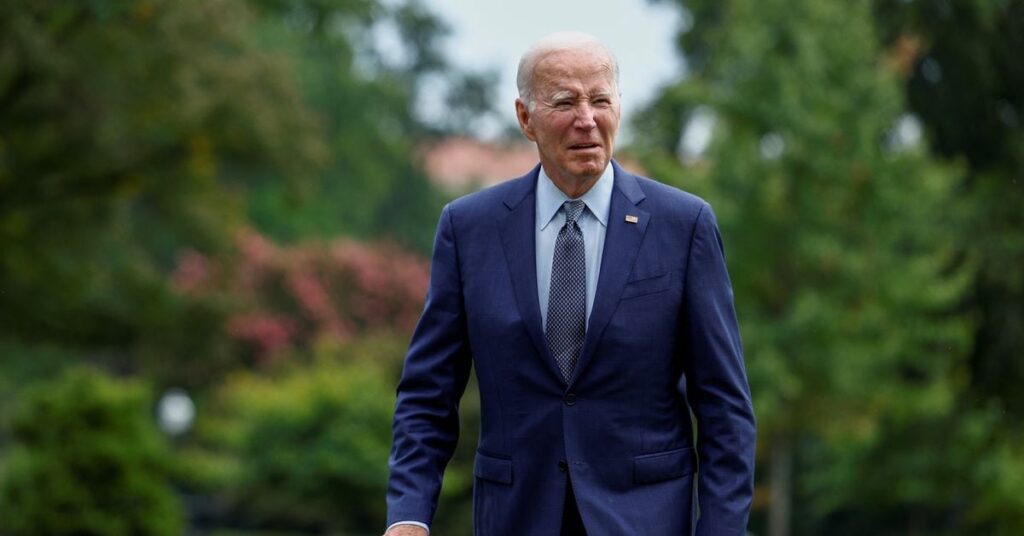 Democrats running for US president in 2024 Democrats running for US president in 2024