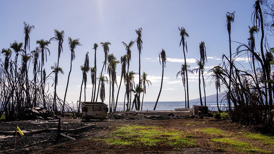 Hawaii Gov. Green proposes 5M recovery budget for Maui after devastating wildfires