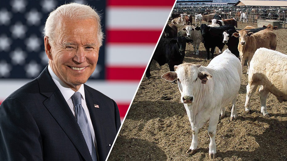 Democrat senator takes action to reverse Biden admin move ‘endangering our food supply’
