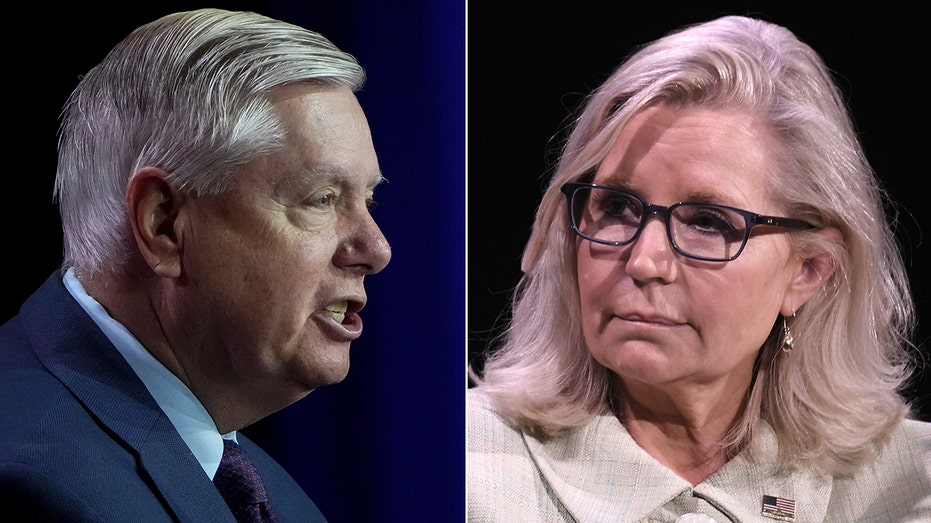 Graham dismisses Liz Cheney’s Trump warning, says ‘world will be truly on fire’ if Biden re-elected