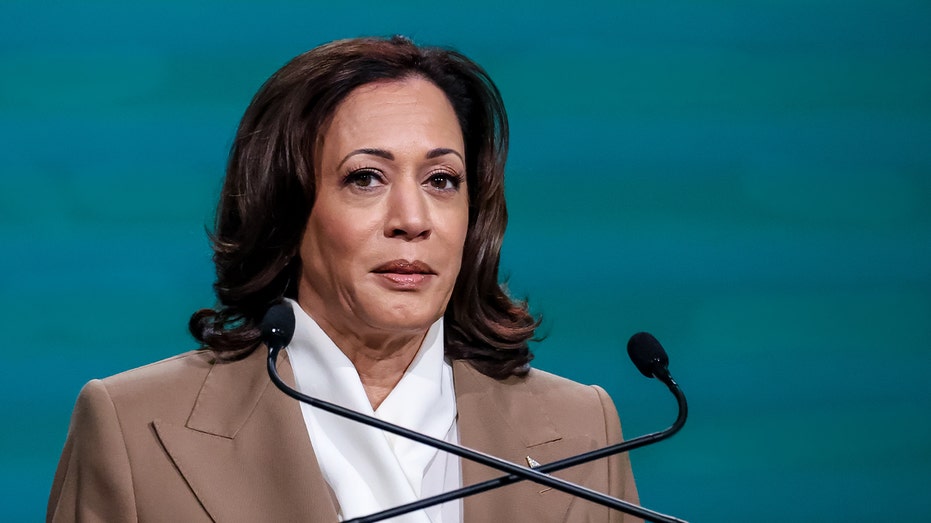 Dem lawmaker screams over Kamala Harris’ holiday party speech, igniting response: ‘Right now, I am speaking’