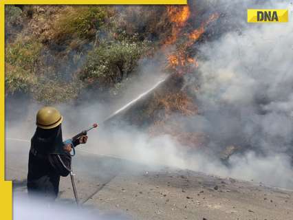 ‘Lackadaisical approach’: SC slams Uttarakhand on controlling forest fires