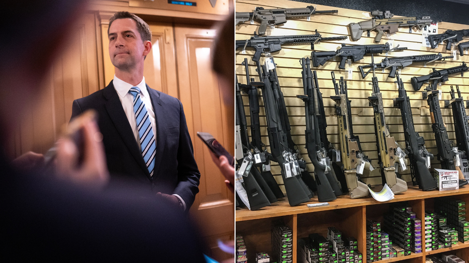 Republicans team up to defeat longtime ‘restriction’ targeting gun owners: ‘Violation of the Second Amendment’ Republicans team up to defeat longtime ‘restriction’ targeting gun owners: ‘Violation of the Second Amendment’
