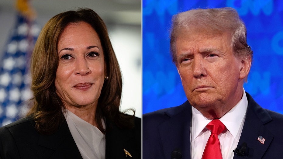 Pollster finds ‘astounding change’ in Democratic electorate since Harris’ ascension Pollster finds ‘astounding change’ in Democratic electorate since Harris’ ascension