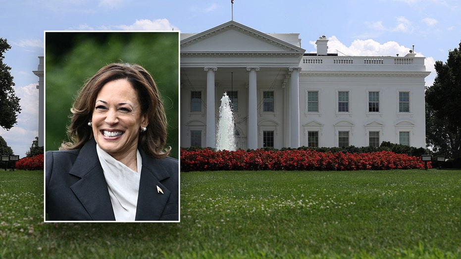 How Vice President Kamala Harris got started in politics How Vice President Kamala Harris got started in politics