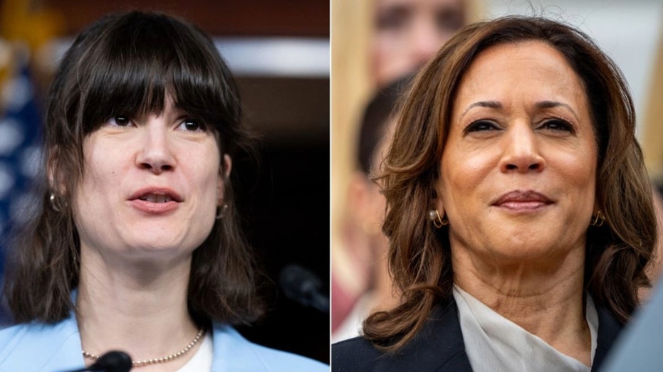 Vulnerable House Dem’s campaign makes stunning admission on potential Harris endorsement: ‘Clear statement’ Vulnerable House Dem’s campaign makes stunning admission on potential Harris endorsement: ‘Clear statement’