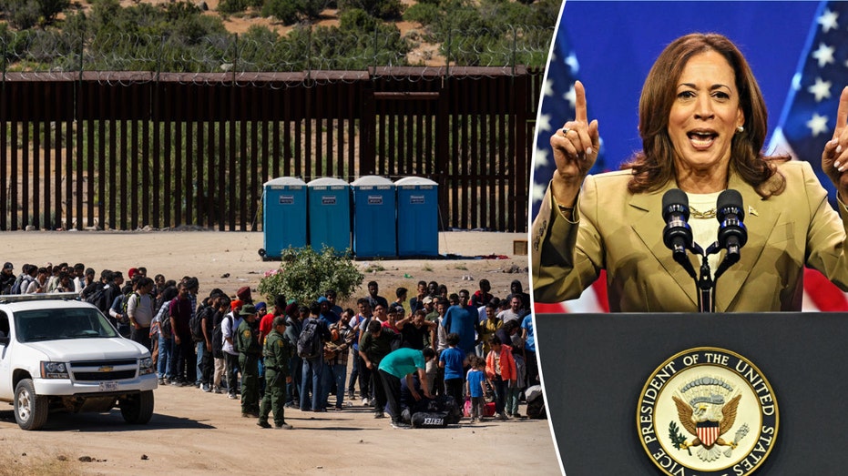 Flashback: Harris pushed Dems to reject funding for ICE detention beds, Border Patrol agents Flashback: Harris pushed Dems to reject funding for ICE detention beds, Border Patrol agents