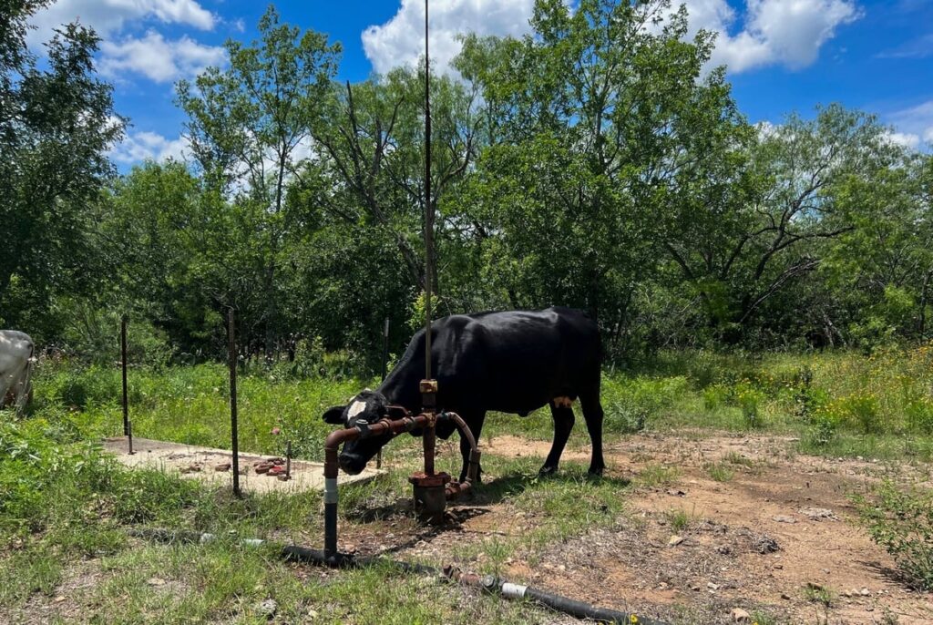 Study finds levels of a dangerous gas “off the scales” in Central Texas oilfield Study finds levels of a dangerous gas “off the scales” in Central Texas oilfield