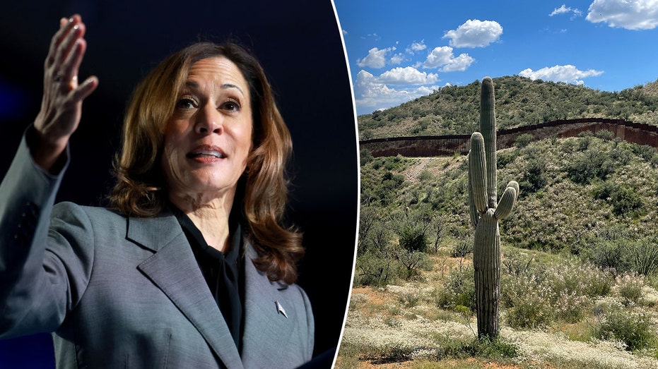 ‘Political stunt’: Critics dismiss Harris’ expected Arizona border visit as immigration remains top issue ‘Political stunt’: Critics dismiss Harris’ expected Arizona border visit as immigration remains top issue