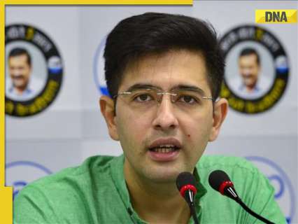 Haryana Assembly Polls: AAP MP Raghav Chadha gives big update on AAP-Congress alliance, says, ‘both parties trying to..’