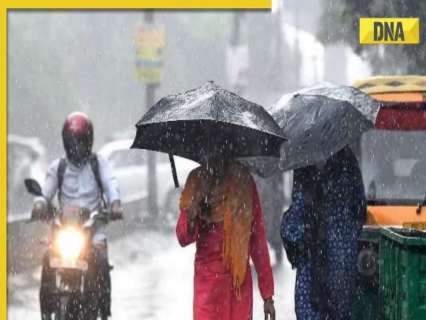 Weather Update: Heavy rain continues to lash Rajasthan, IMD issues yellow, orange alerts for several parts till this day Weather Update: Heavy rain continues to lash Rajasthan, IMD issues yellow, orange alerts for several parts till this day