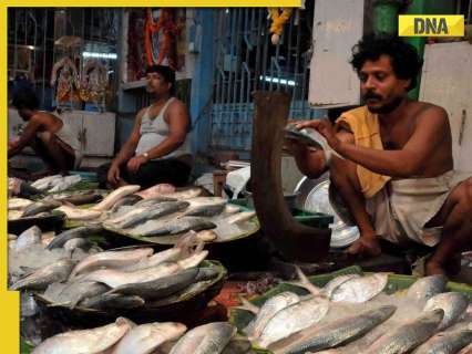Bangladesh bans Padma Hilsa export to India ahead of Durga Puja, prices expected to… Bangladesh bans Padma Hilsa export to India ahead of Durga Puja, prices expected to…