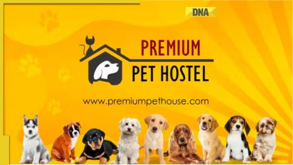 Premium Pet House Sells 300 Golden Retriever Puppies In August; Addresses The Breed’s Increasing Demand In India Premium Pet House Sells 300 Golden Retriever Puppies In August; Addresses The Breed’s Increasing Demand In India
